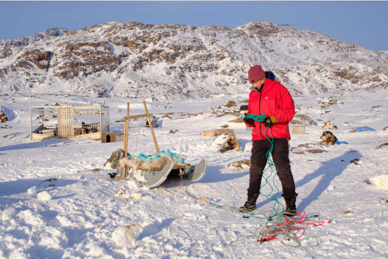 THL#06 – Dogsledding, Phenology, haiku moment + awareness prompt