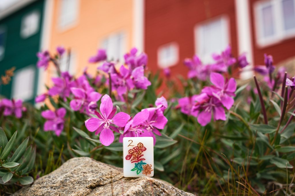 Niviarsiaq - Greenland's national flower with its respective Mahjong tile from the custom made set.