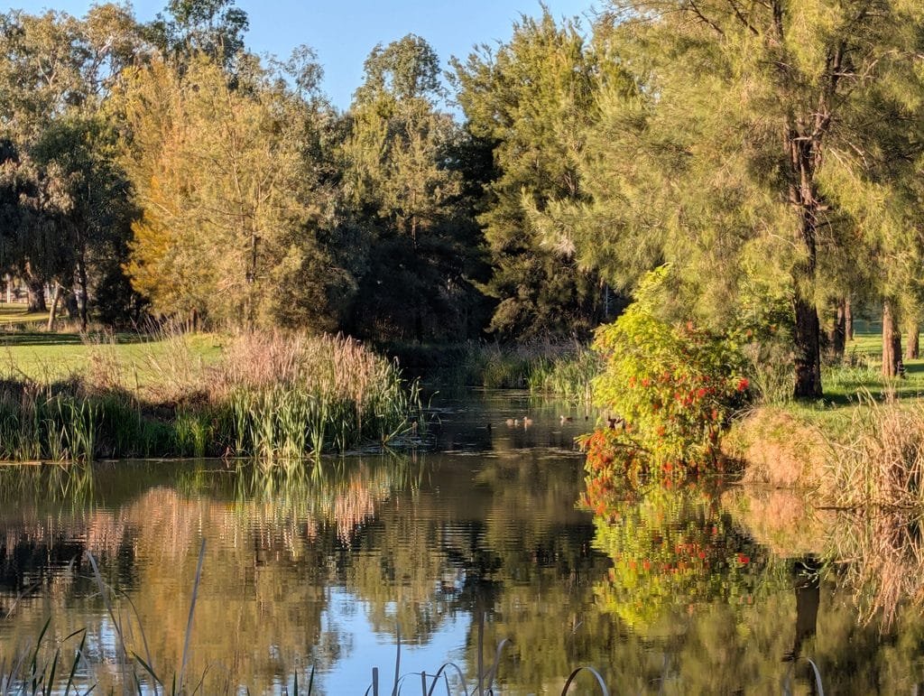 River and Trees in early morning light along Inverell's Riverside walk