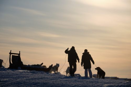 Two people preparing sled dogs in Sisimiut, silhouetted against a pale sky.