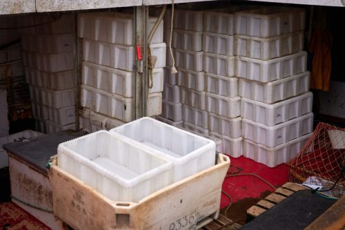 White plastic fish bins stacked inside a fishing facility in Sisimiut.