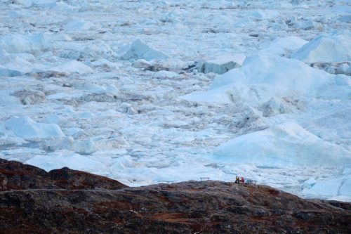 Rough sea ice piled along a rocky shoreline in Ilulissat under grey light.